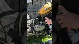 31 Jahre Standzeit und 60km nach Hause: Blindkauf #puch #moped #oldtimer