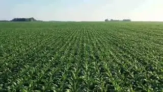One Earth environmental short film
