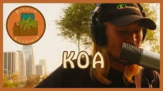 Sometimes - Koa Ho // Picnic Sessions (LIVE @ Vista Hermosa Park, CA)