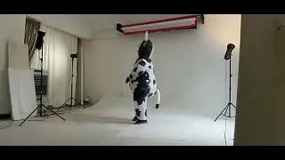 China factory  Adult Halloween Holiday Party Cosplay Cow inflatable props costume