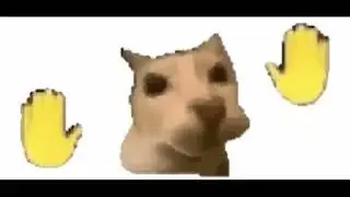 cat dancing to nubbys number factory music