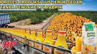 PROSES PRODUKSI PEMBUATAN JUS JERUK SEGAR DI PABRIK MODERN TANPA PENGAWET