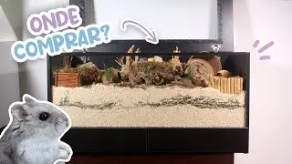 Where to Buy Terrariums? - New Partnership on the Channel