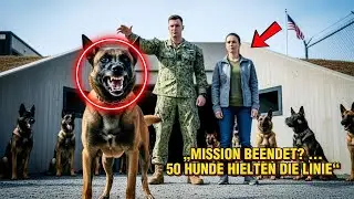 Navy SEAL schickte sie weg – doch 50 Militärhunde weigerten sich und bewachten den Bunker