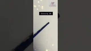 Samsung Galaxy S8 Back Cover