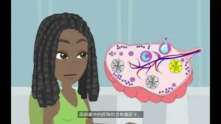 高小科學教育 第七級：植物的繁殖