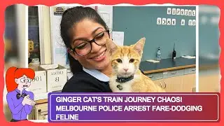 Ginger Cat's Train Journey Chaos! Melbourne Police Arrest Fare-Dodging Feline