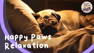 Happy Paws Relaxation - Calming Music For Pets