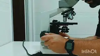واقعیت دنیای زیر ناخن#microscope #laboratory 