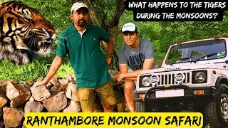 Ranthambore Monsoon Safari: Tourists broke rules during Tiger Sighting | #ranthambore