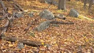 Ce va ,  ce va el otoño 🍁 con todos sus hermosos colores.