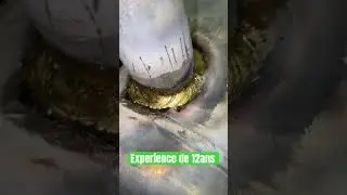 Galvanis&eacute;e &hellip;&hellip;.nickle