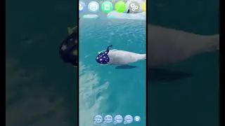 HOW TO FLY ON &ldquo;Be a Silly Seal