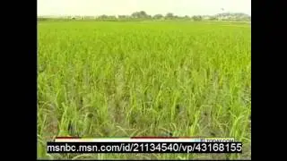 Facing Drought, China Makes it Rain - May 27, 2011