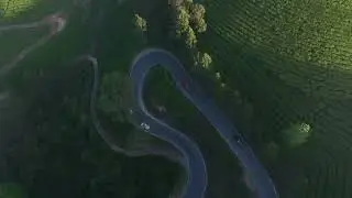Munnar Topstation road #munnarvibes #munnar #munnartouristplaces #munnartopstation #munnarnews 