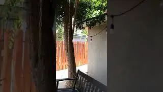 Bench swing installed on tree
