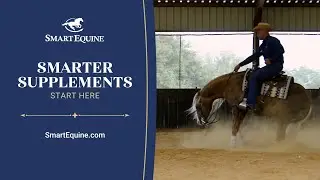 Smarter Horse Supplements Start Here