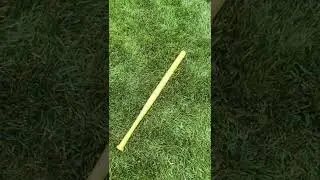 Custom 2017 Demarini Green Zen Wiffle ball bat!