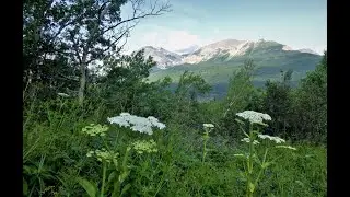 Belly River Trail to Gable, CDT - Part 1 of 2, Glacier National Park 2019