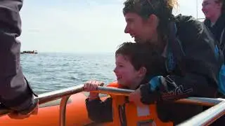 2 hour Sealife Safari