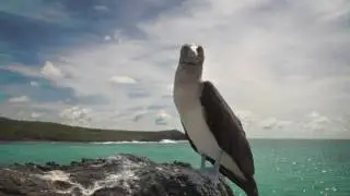 All You Need Is Ecuador from PURE Life Experiences