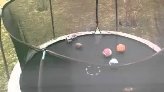 Fun Trampoline Games