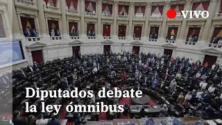 EN VIVO| Debate de la ley ómnibus en el Congreso