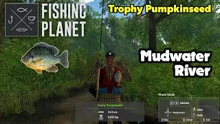 Trophy Pumpkinseed Mudwater River - Fishing Planet