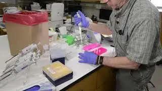 DNA Extraction Protocol