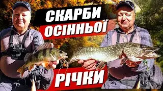Як ловити на річці восени! Щука та окунь на спінінг Crazy Fish Versus VSR762LT