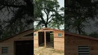 How to build goat 🐐 shelter on a budget part 2 #homesteading #diy #goatfarming #farming