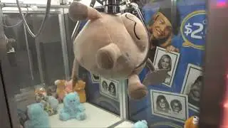 Cleaning Out an ENTIRE Claw Machine Skill Crane!!​​​
