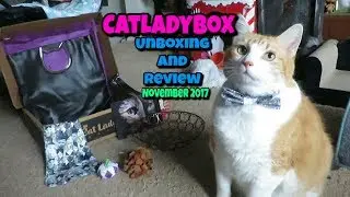 CatLadyBox Unboxing And Review | November 2017