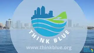 Do You Know Think Blue San Diego?