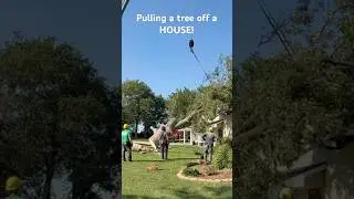 Lifting a Tree Off a HOUSE after a gnarly wind storm! #crane #tree