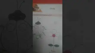 Trace the circle and colour the pictures in pattern writting Book
