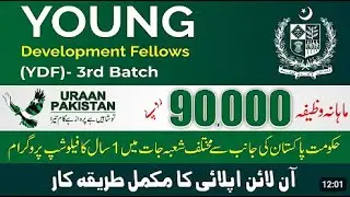 Young Development Fellow 2026/ Minisitry of Planing  and  development