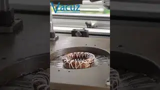 Vacuz Brand Automatic Stator Coil Final Forming Machine