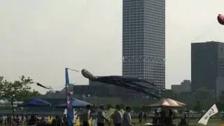 Chicago Fire Kite Team and the Giant Kites of Yves Laforest
