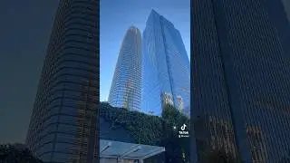 Salesforce Tower and Millennium Tower from Salesforce Park #sanfrancisco #travel #fyp