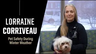 How to keep your pets safe during winter weather: Purdue Expert