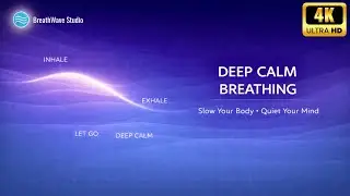 Find Deep Calm | Slow Breathing for Relaxation