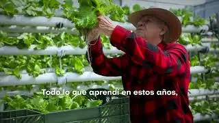 Video Hidroponico - Don Melchor