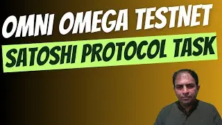 Omni Omega Testnet | Satoshi Protocol Task