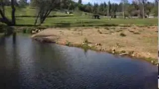 Solar Water Pumping | Sierra Solar Systems