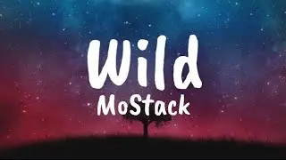 Wild - MoStack (Lyrics)