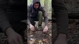 Trap Setting Tips That Save Lives #bushcraft #trap #survival