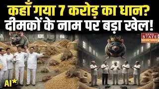 Krawadha: 7 करोड़ के धान का क्या हुआ? चूहे-दीमक खा गए या अधिकारी झूठ बोल रहे?  Paddy Scam