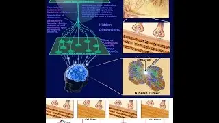 Consciousness Mapping