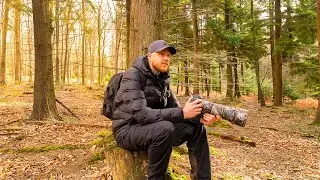 Wildlife Photography | Camping In The New Forest | Day 2